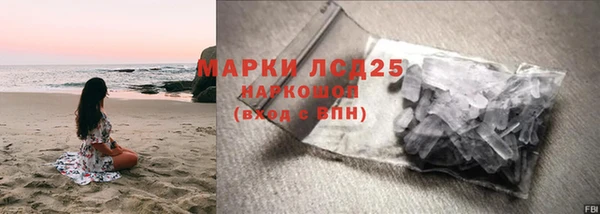 дживик Няндома