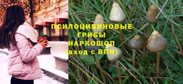 мяу мяу мука Аркадак
