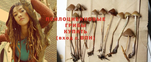 амф Арсеньев