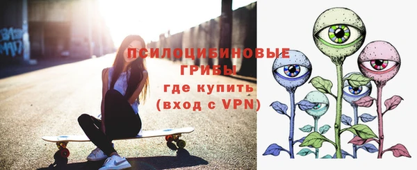 амф Арсеньев