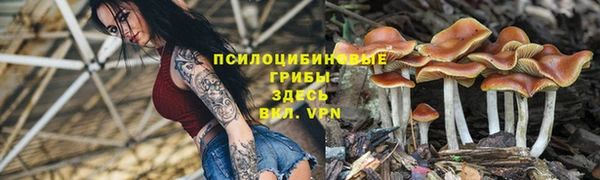амф Арсеньев