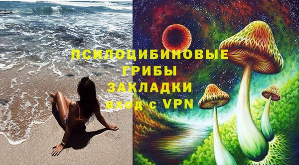 мяу мяу мука Аркадак