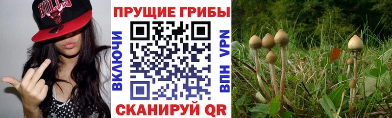 площадка формула Мезень Галлюциногенные грибы MAGIC MUSHROOMS где продают наркотики