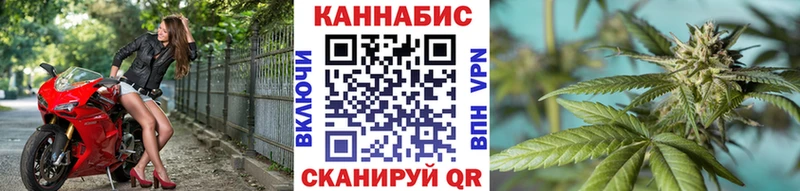 закладка  Мезень  Бошки Шишки семена 